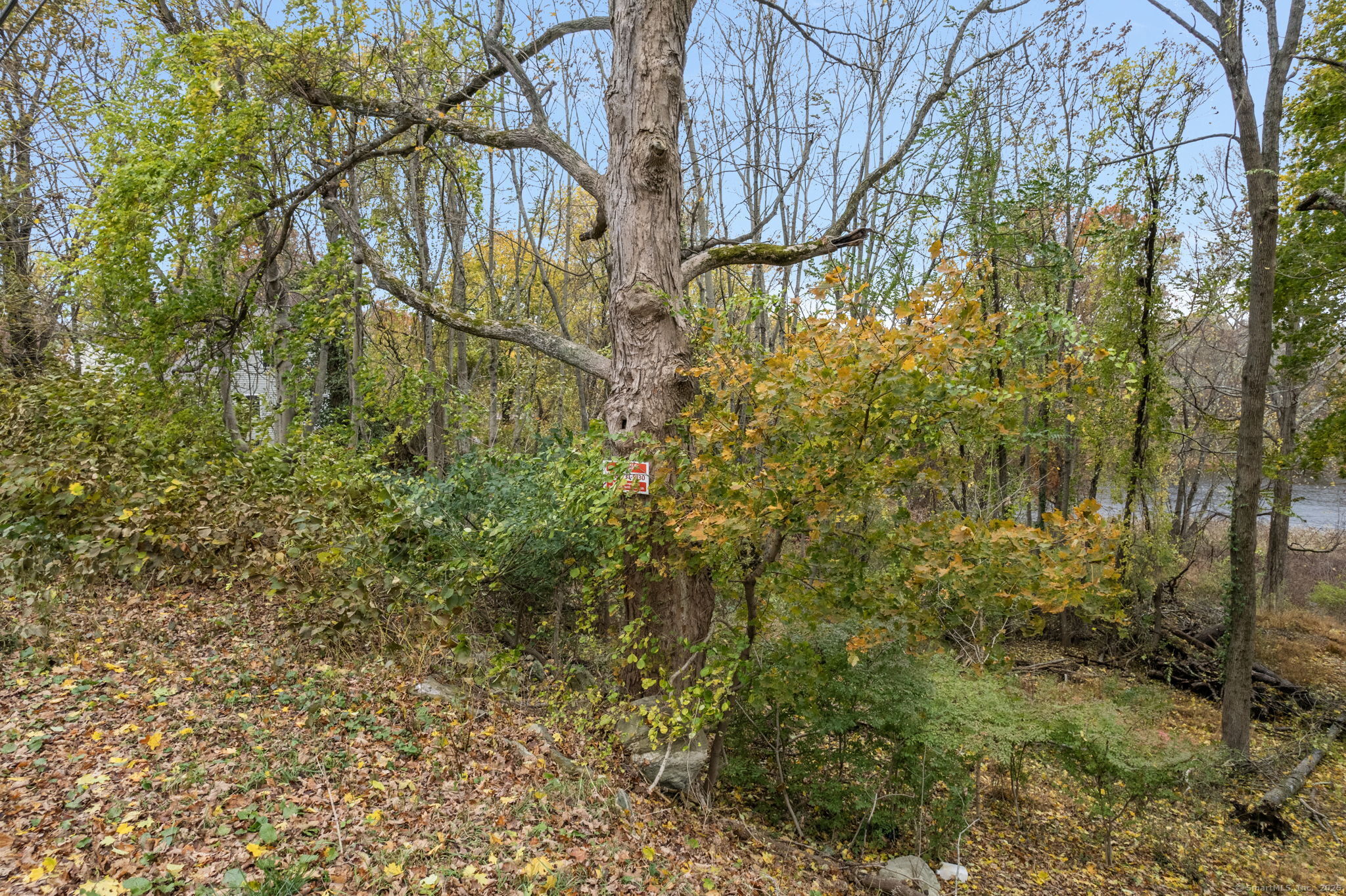 37 Katherine Avenue Killingly CT 06239