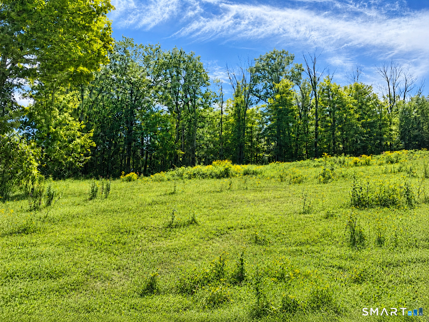 -00 Colebrook Road Colebrook CT 06021