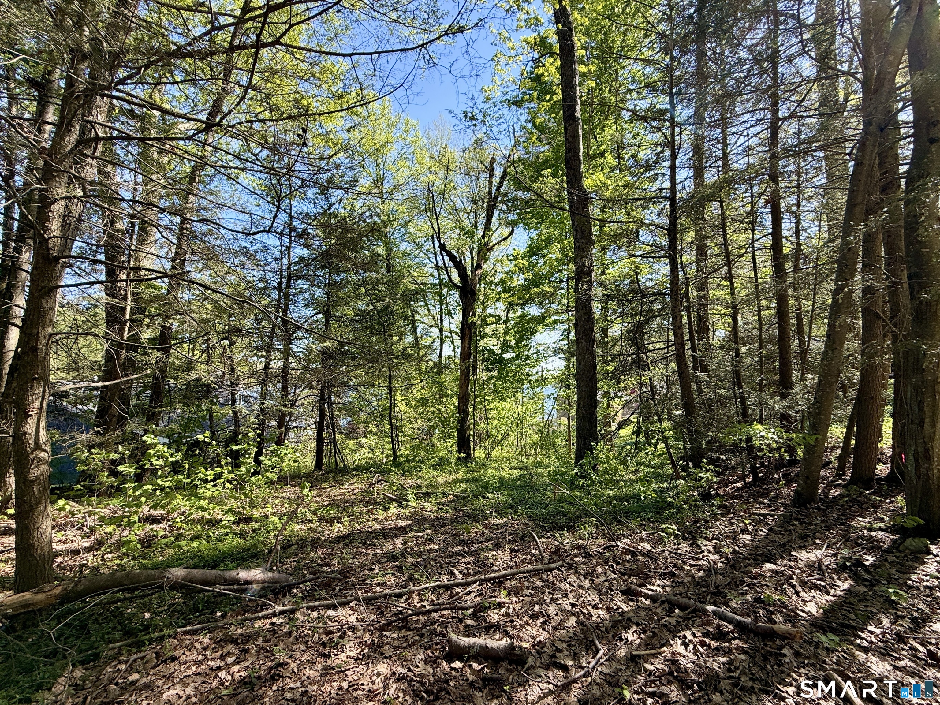 7 West Side Drive Barkhamsted CT 06063