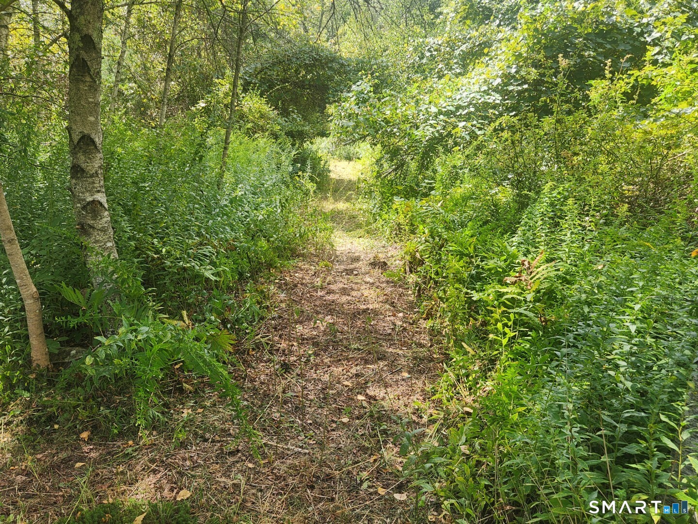Lyon Hill Road Woodstock CT 06281