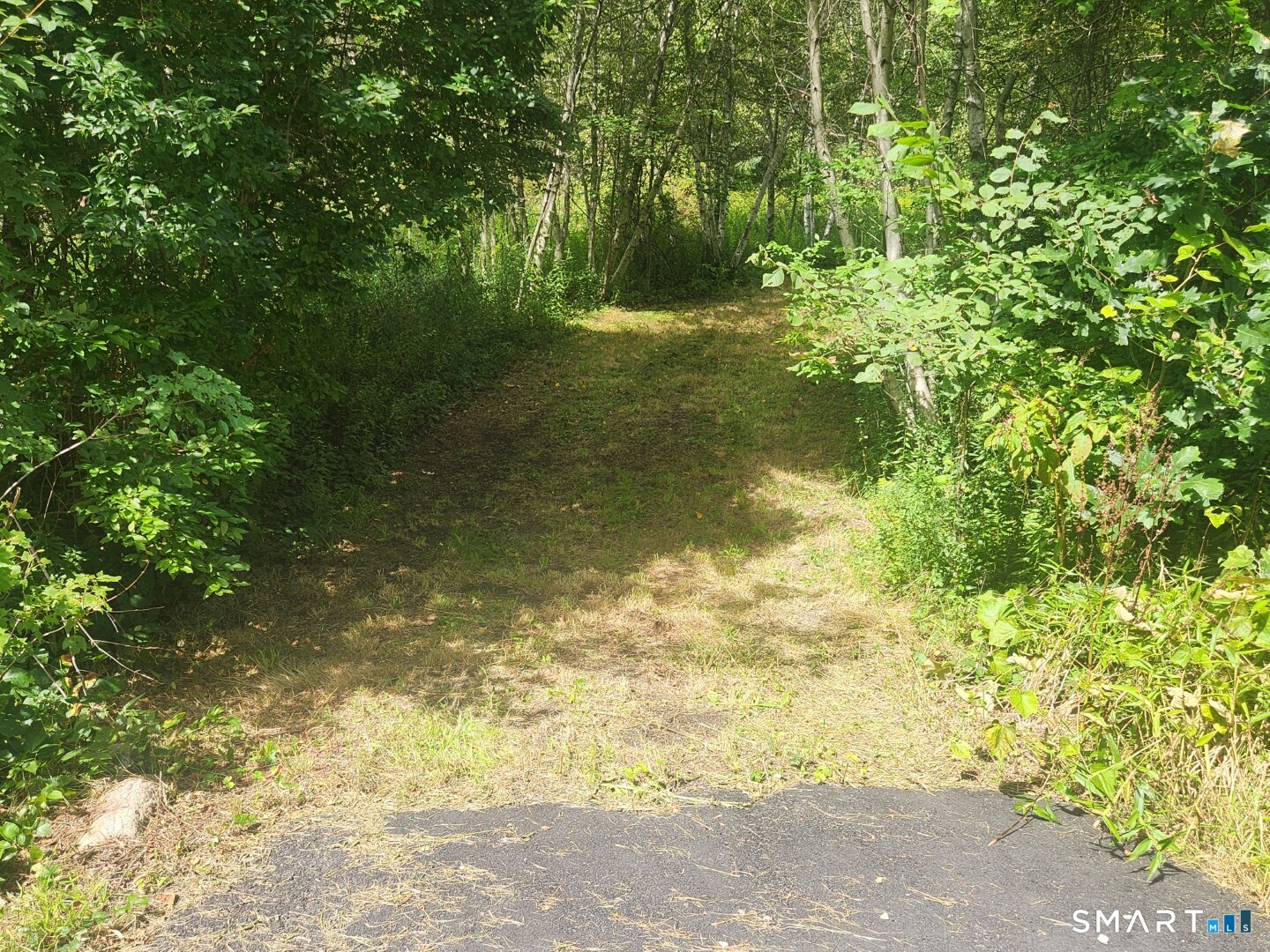 Lyon Hill Road Woodstock CT 06281