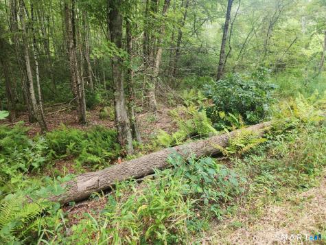 Lyon Hill Road Woodstock CT 06281