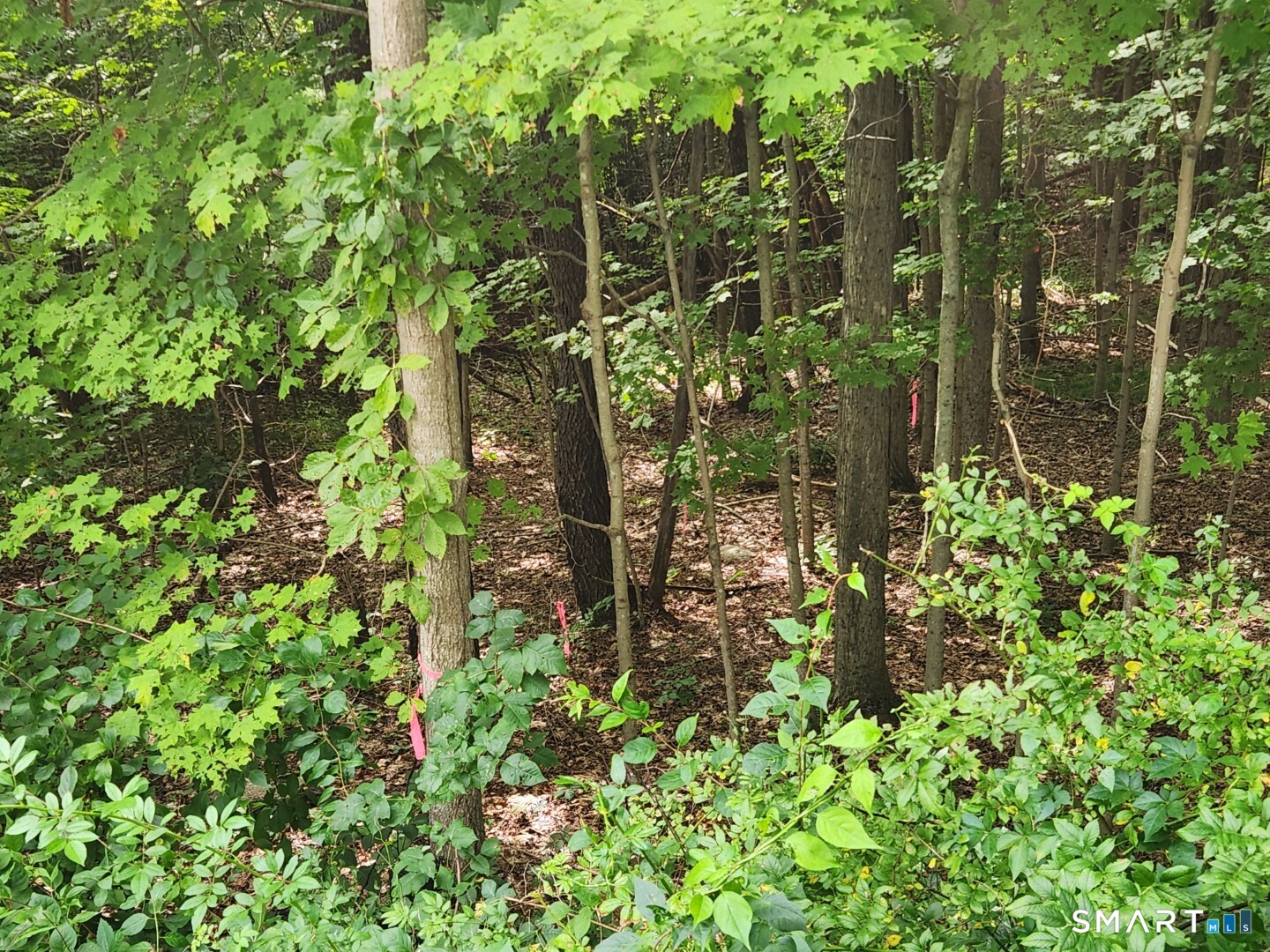 Lyon Hill Road Woodstock CT 06281