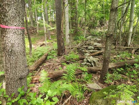 Lyon Hill Road Woodstock CT 06281