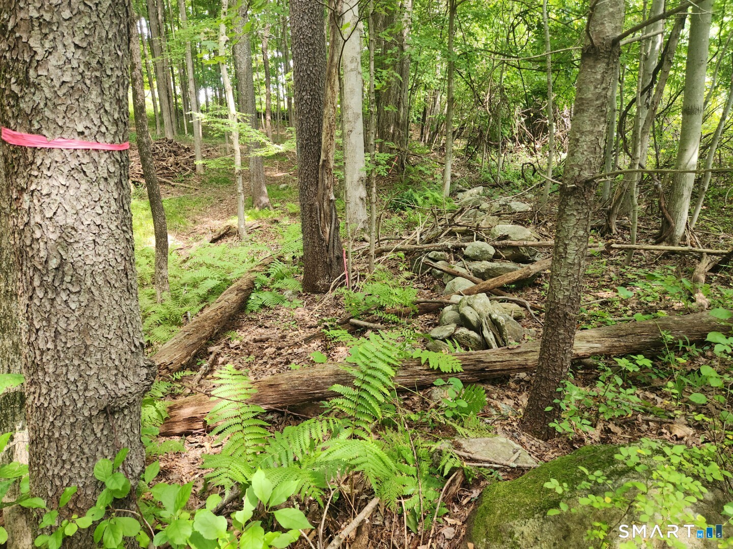Lyon Hill Road Woodstock CT 06281