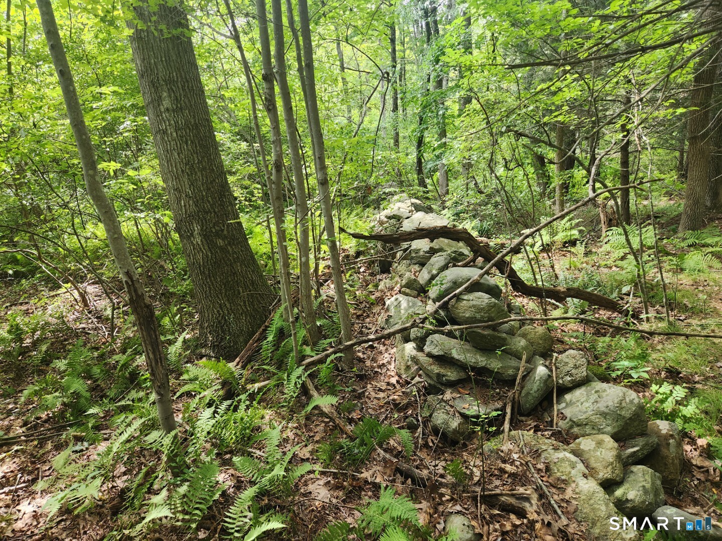 Lyon Hill Road Woodstock CT 06281
