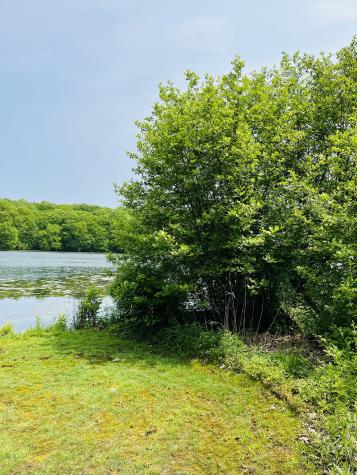 440 Lake Shore Drive Middlebury CT 06762