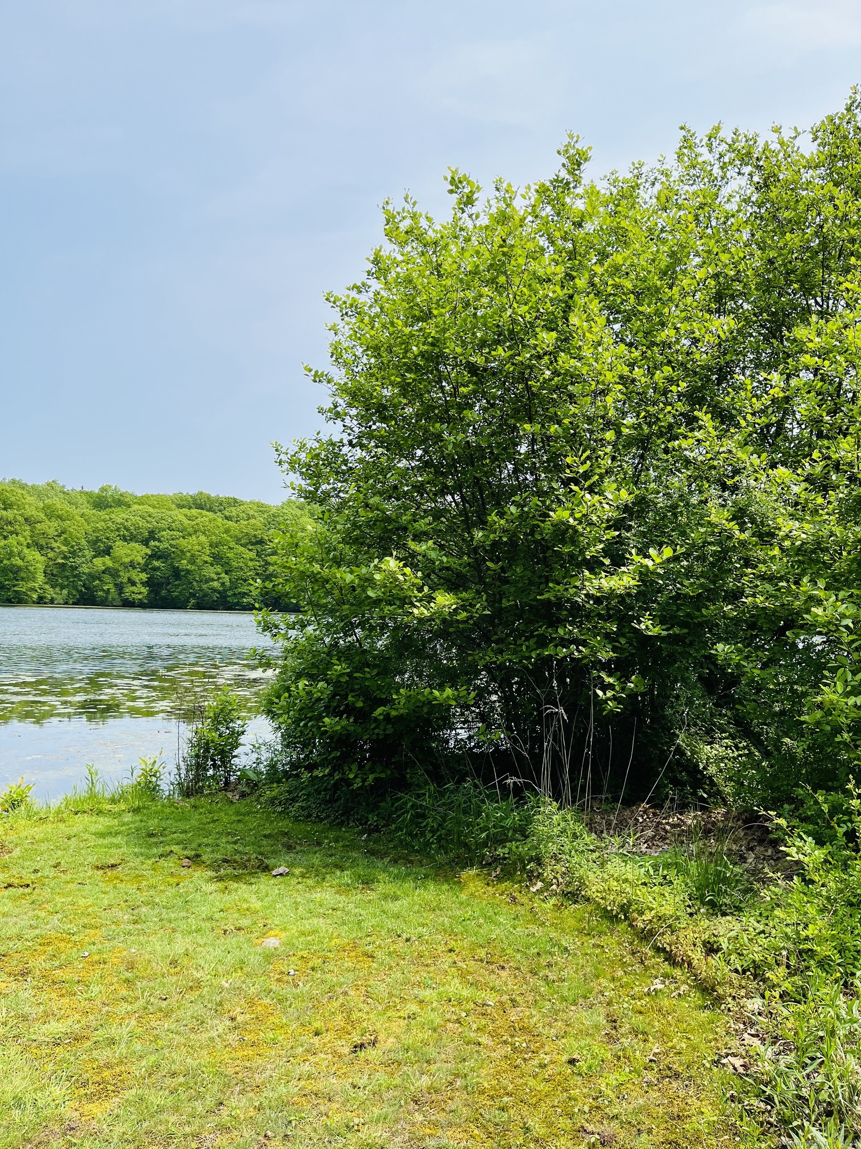 440 Lake Shore Drive Middlebury CT 06762