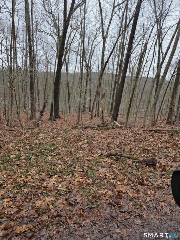 165 Housatonic Trail Southbury CT 06488