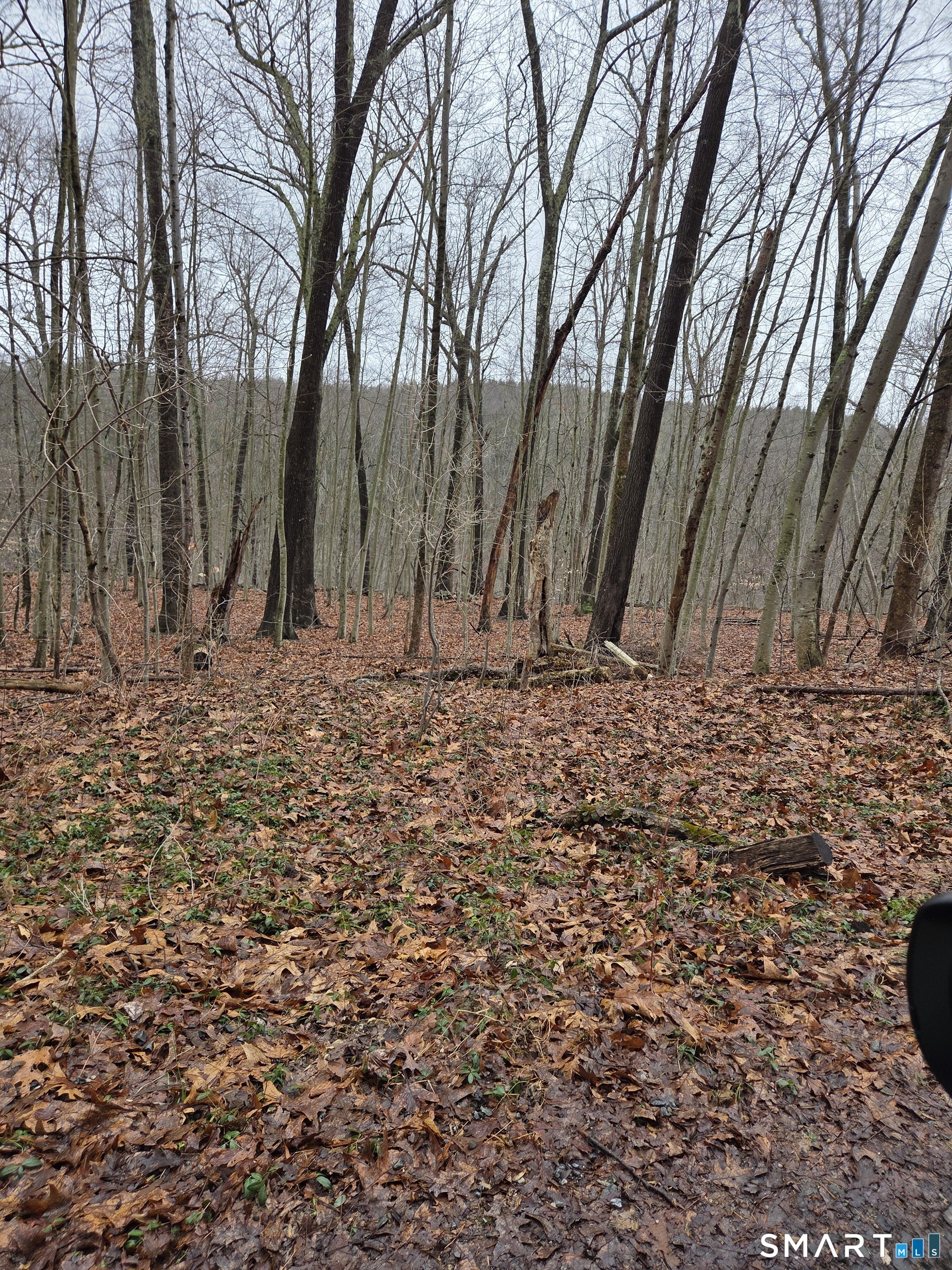 165 Housatonic Trail Southbury CT 06488