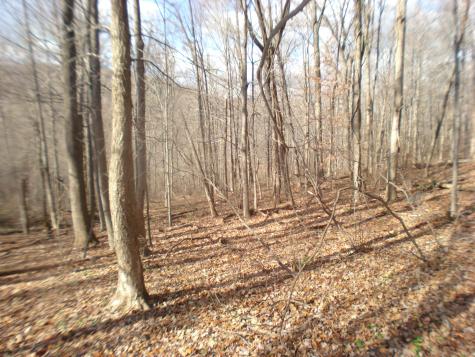 Route 39 South, State Route Sherman CT 06784