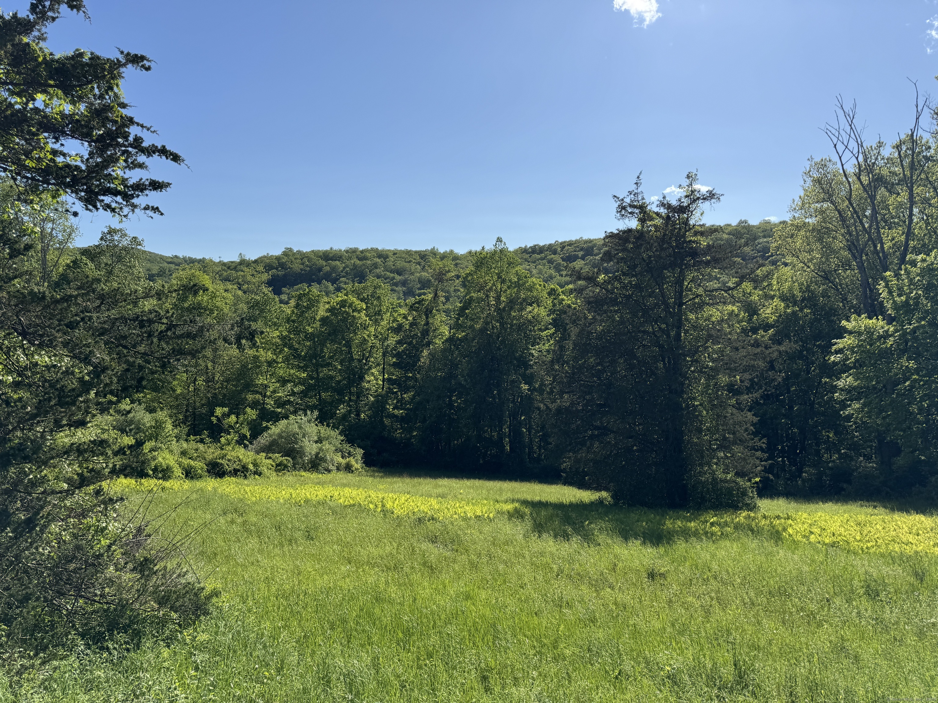 Rte 39 South, State Route Sherman CT 06784