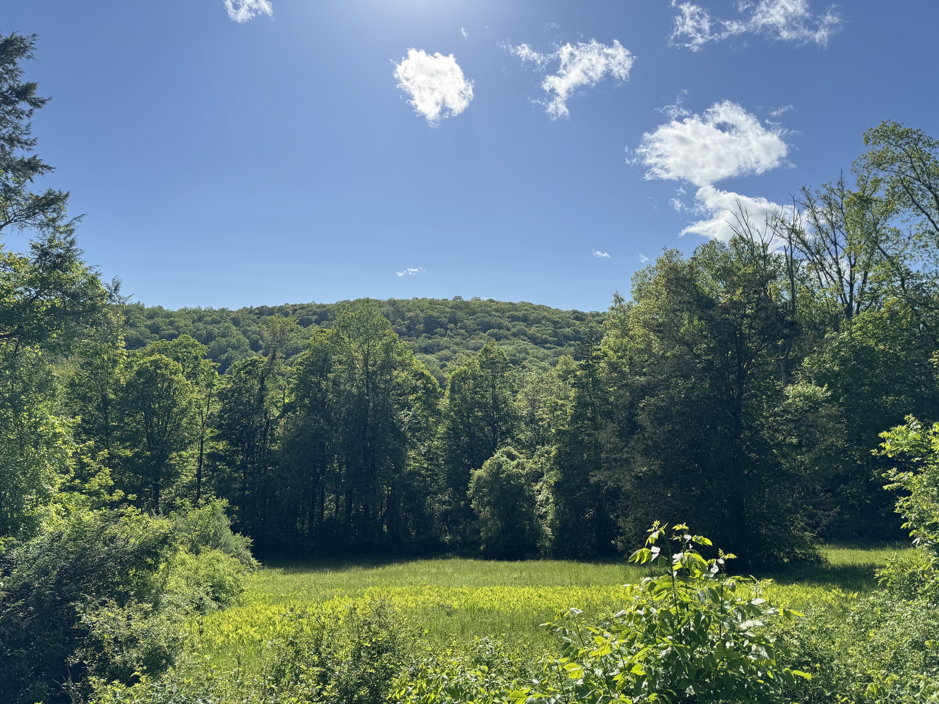 Rte 39 South, State Route Sherman CT 06784
