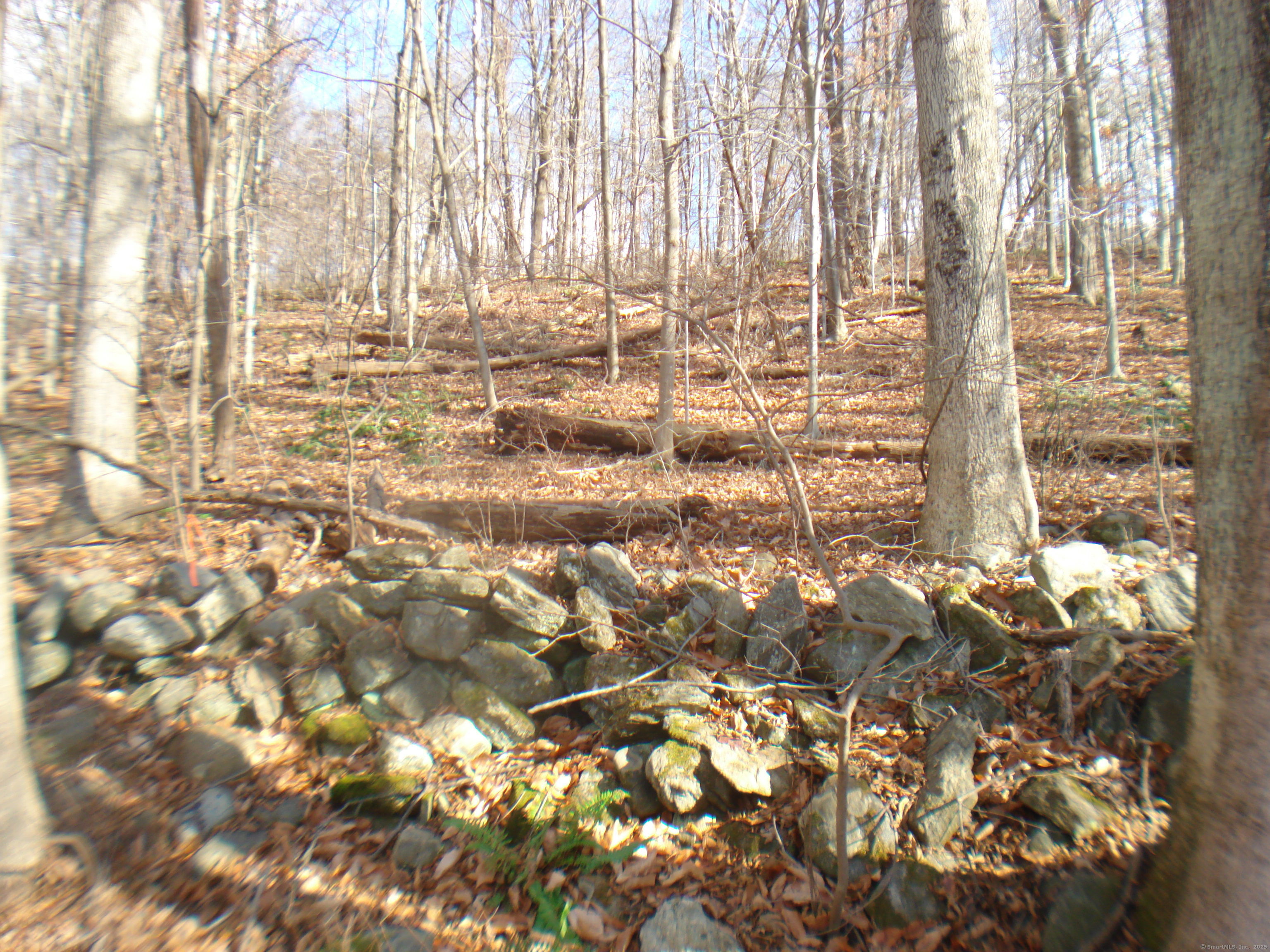 Rte 39 South, State Route Sherman CT 06784