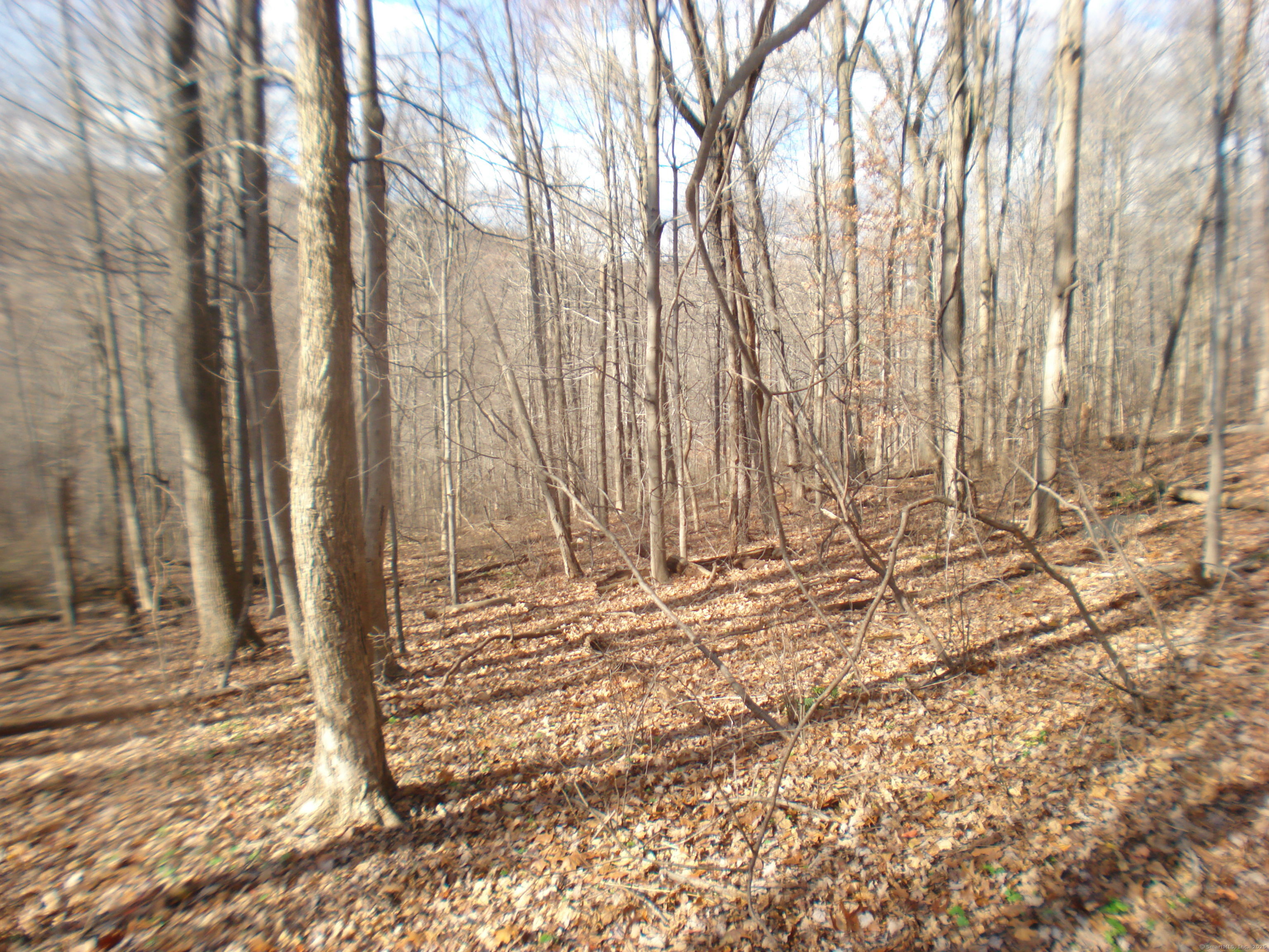 Rte 39 South, State Route Sherman CT 06784