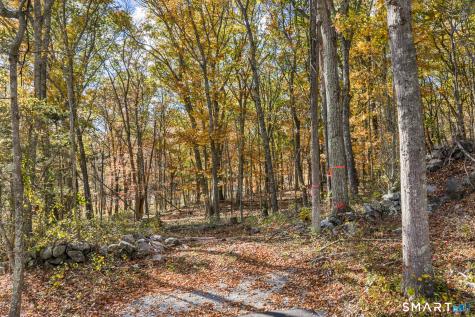 00 Tinker Lane Lyme CT 06371