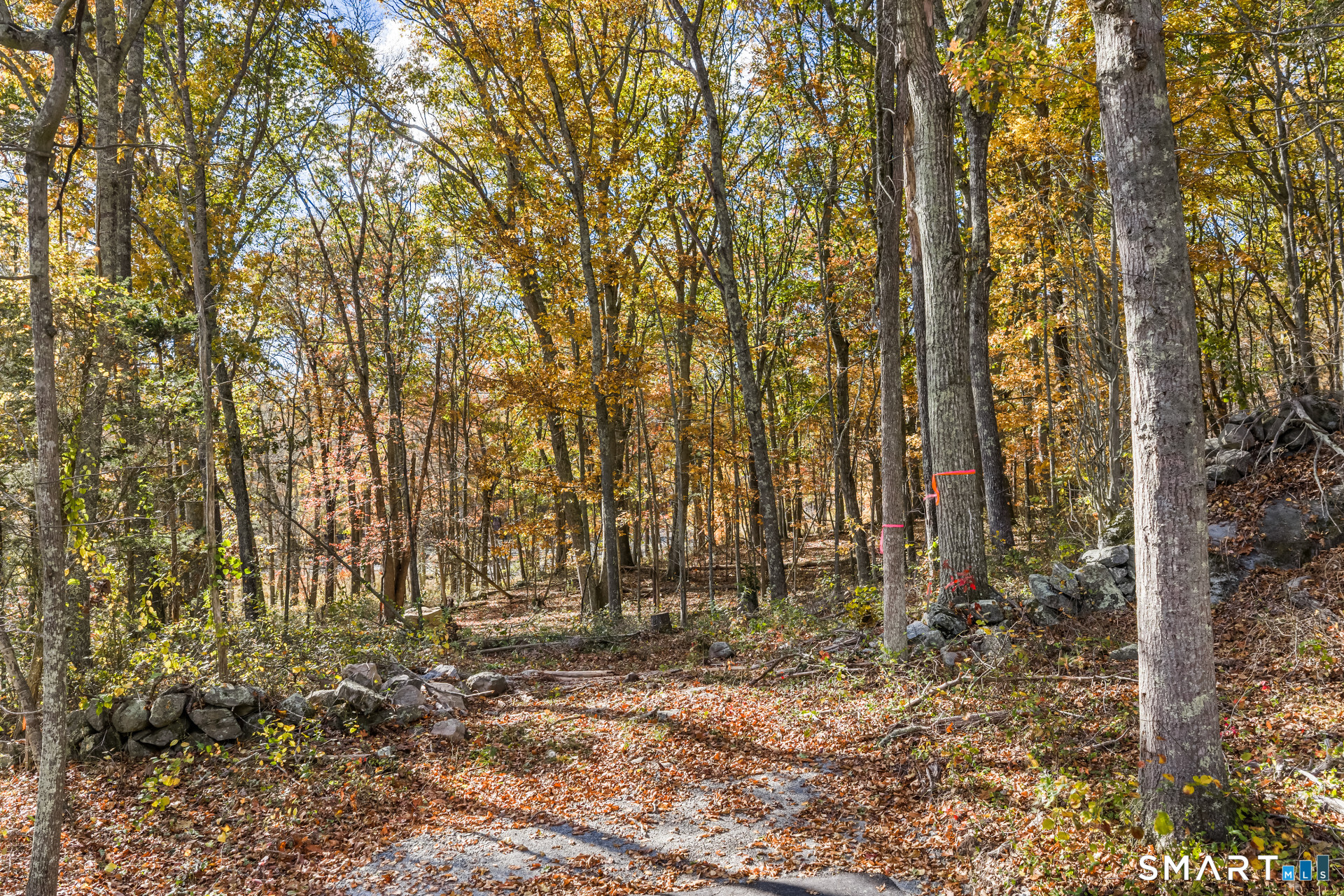 00 Tinker Lane Lyme CT 06371