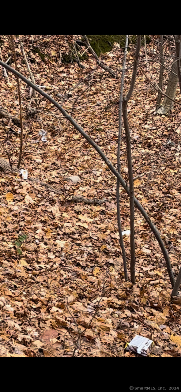 East Hartford CT, Hillside Avenue