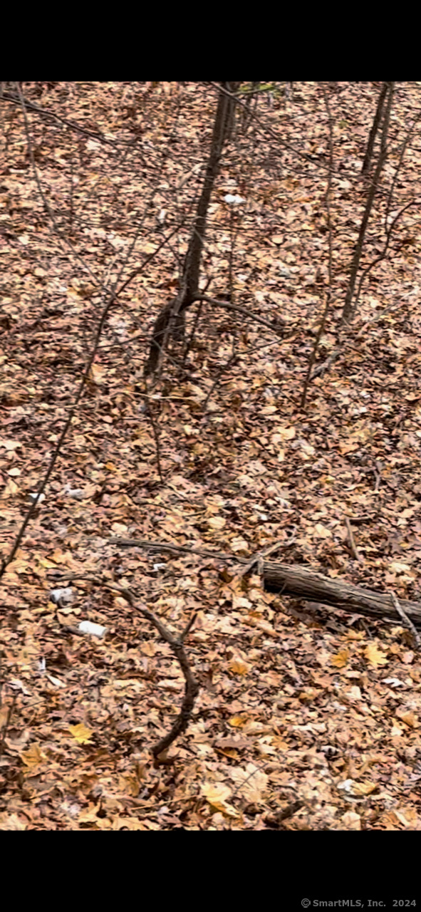 Hillside Avenue East Hartford CT 06108