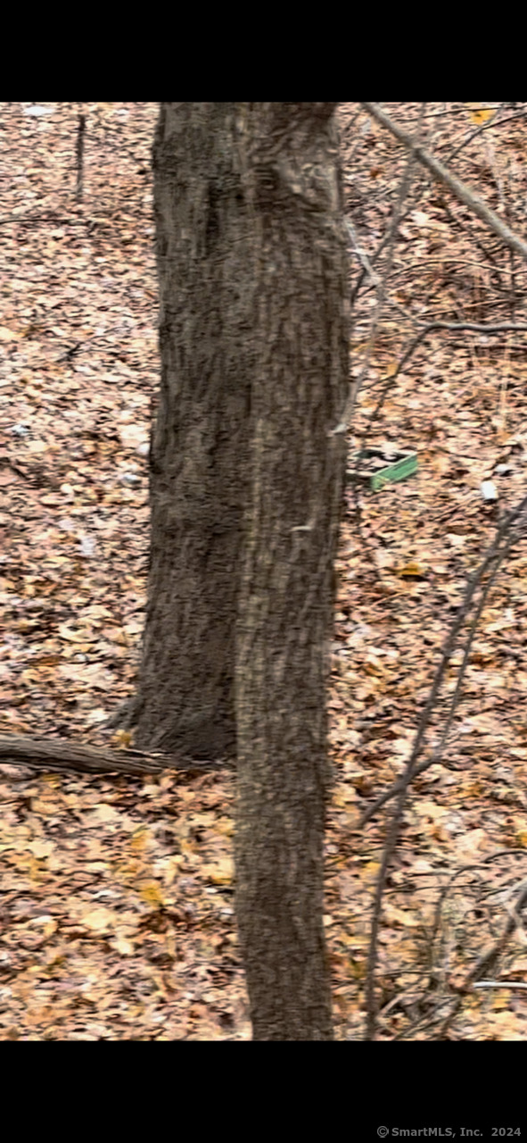 Hillside Avenue East Hartford CT 06108