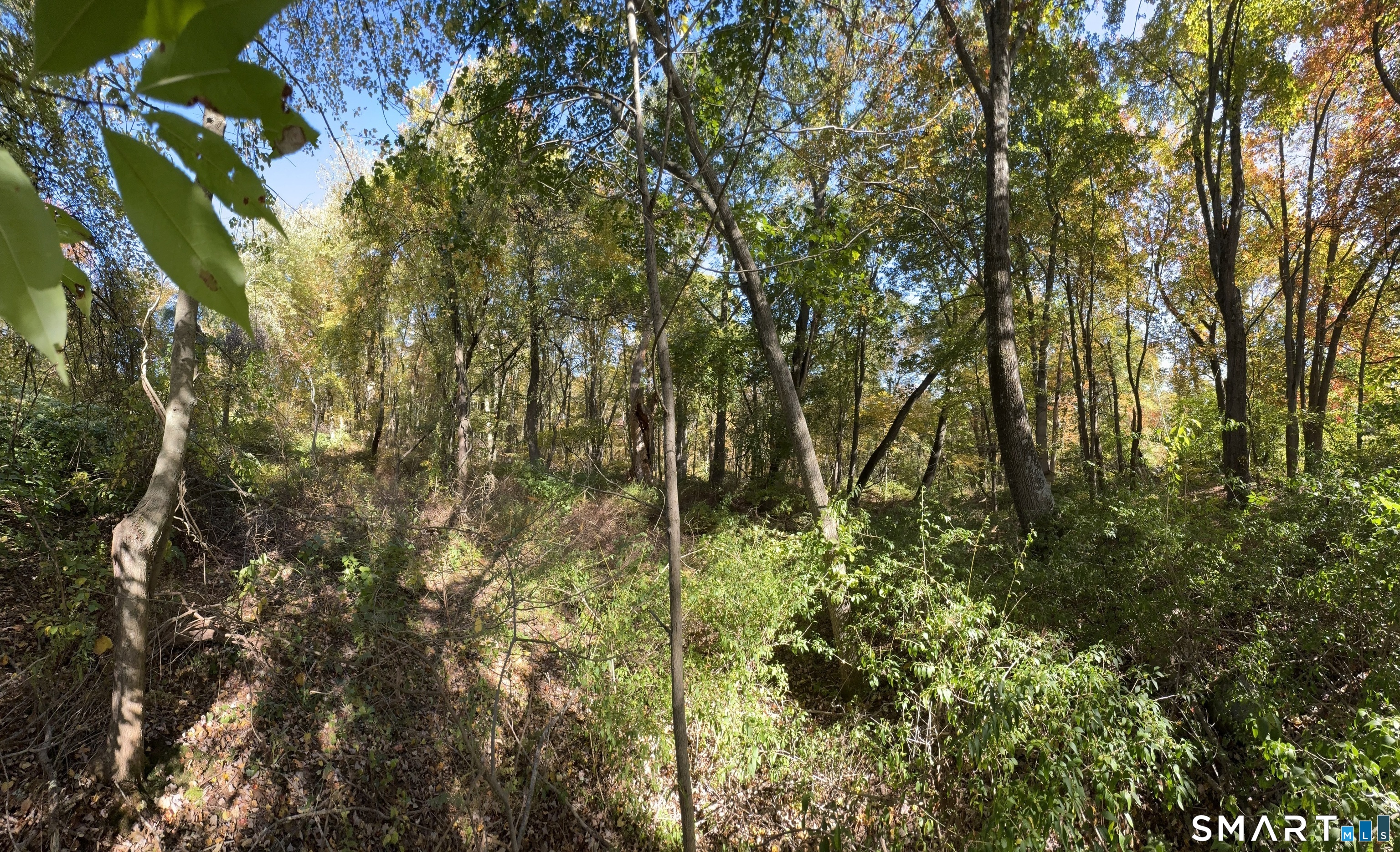 Old Colonial Road Watertown CT 06795
