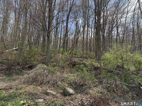 Torrington Road Litchfield CT 06759