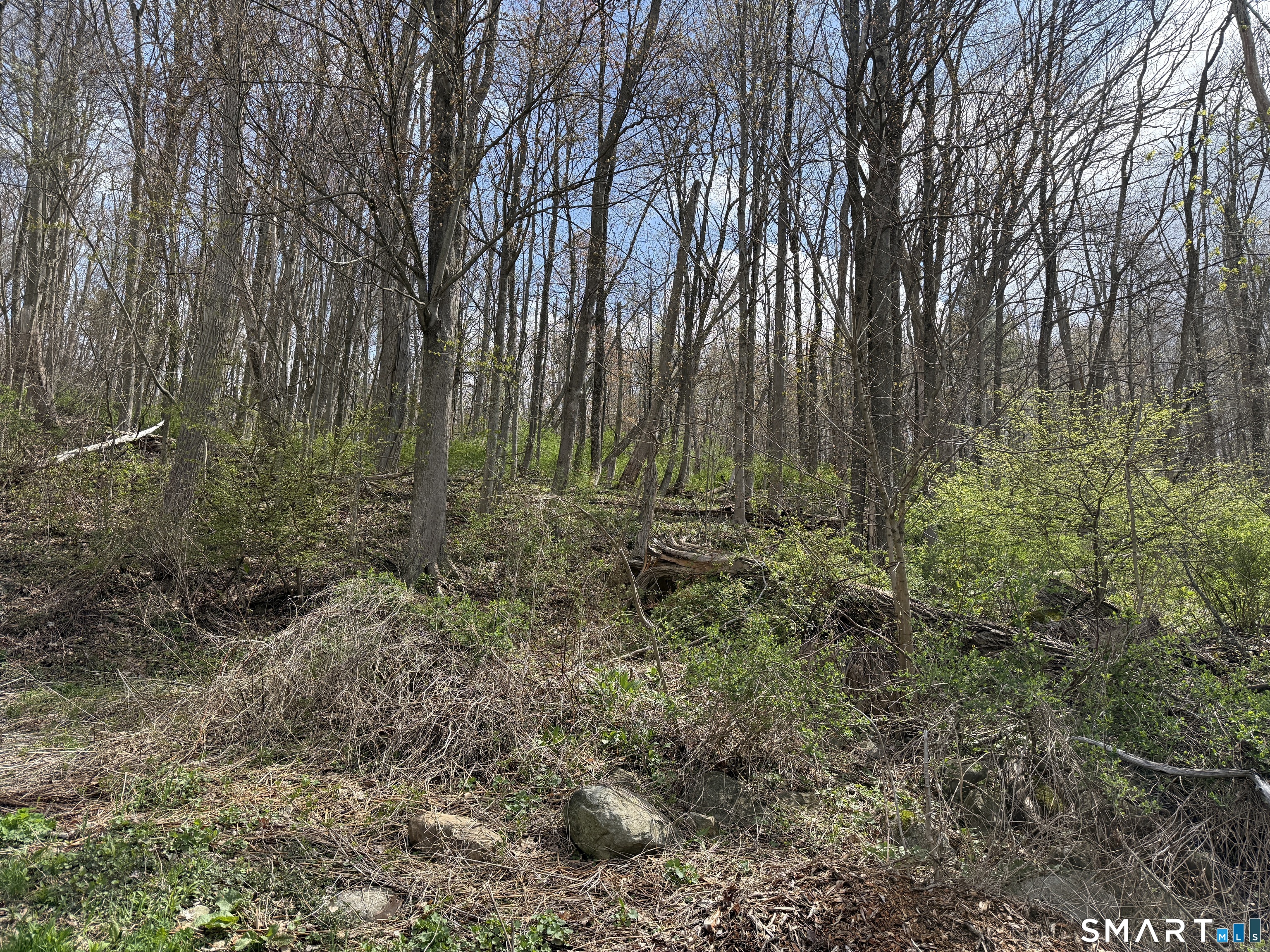Torrington Road Litchfield CT 06759