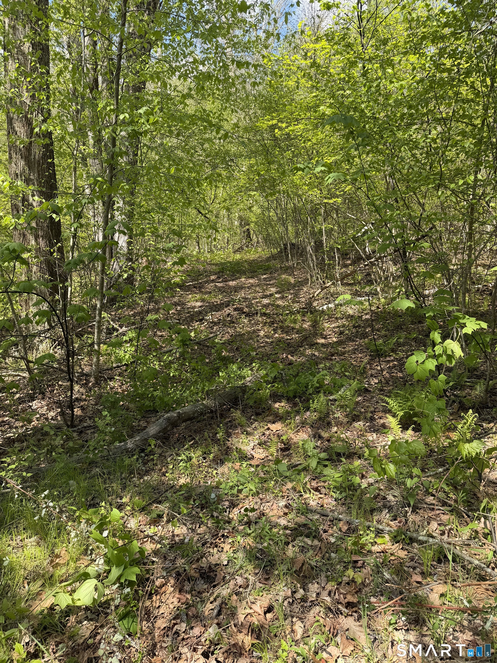 405 Route 7 Sharon CT 06069