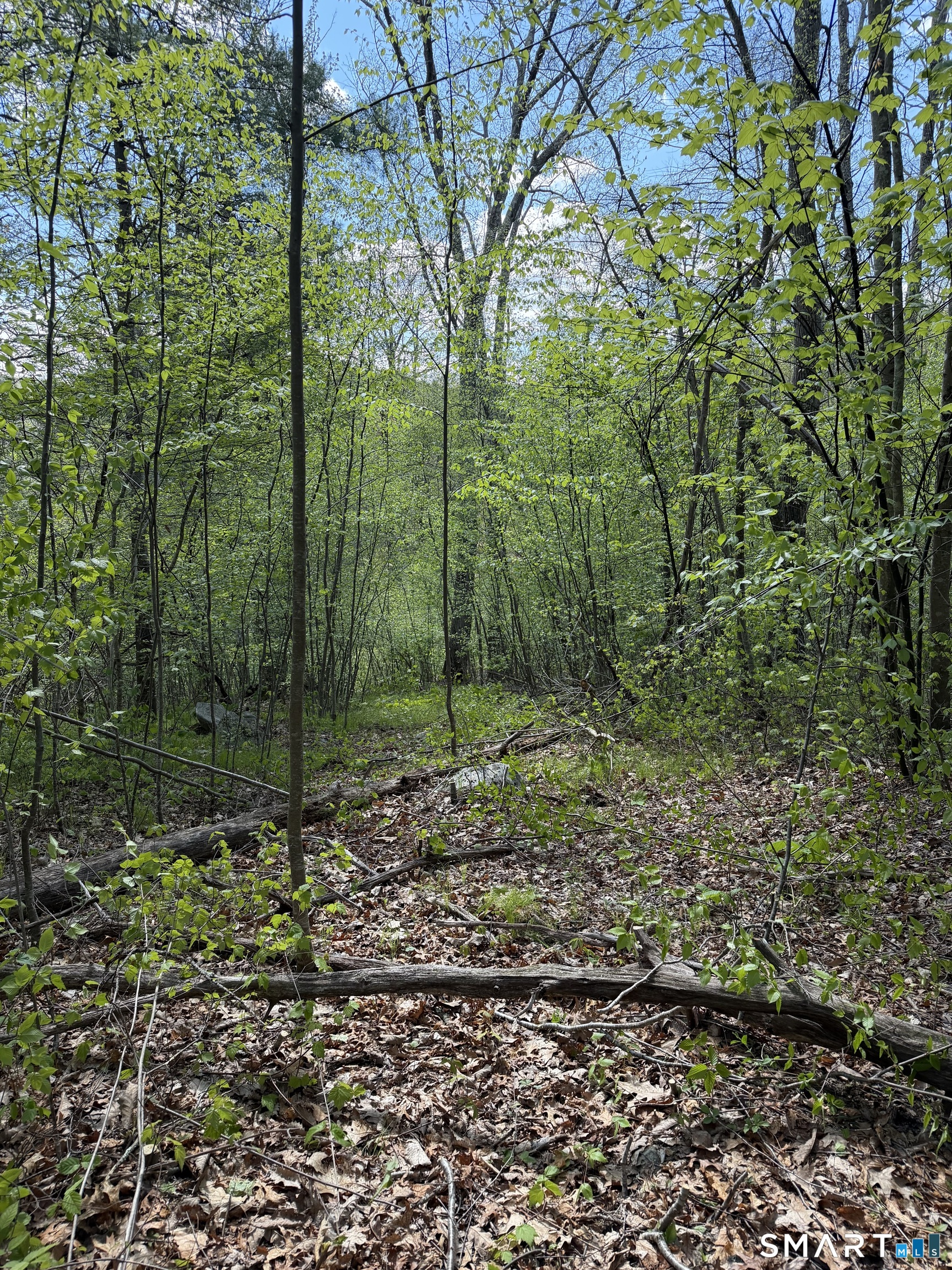 405 Route 7 Sharon CT 06069