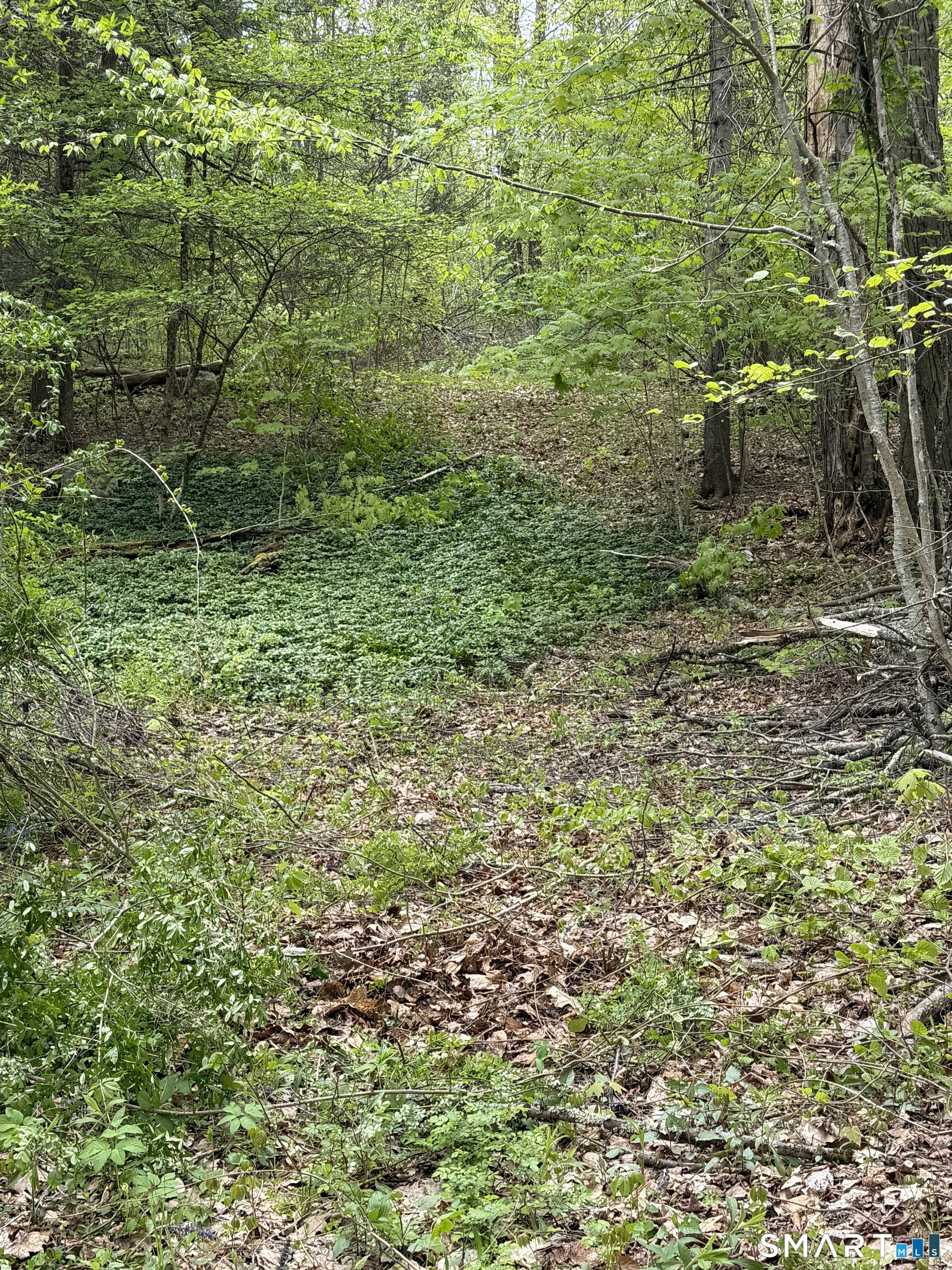 405 Route 7 Sharon CT 06069