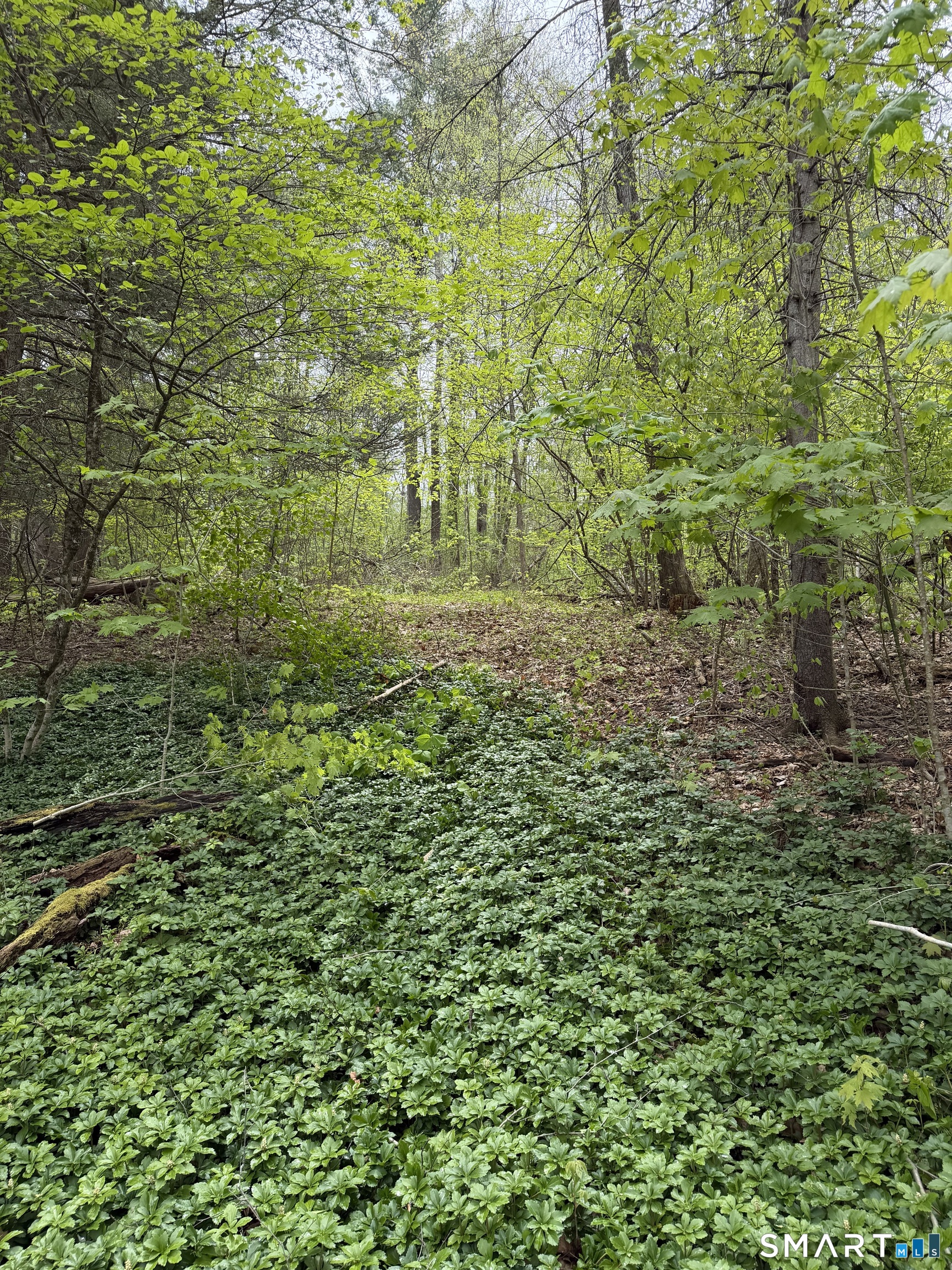 405 Route 7 Sharon CT 06069