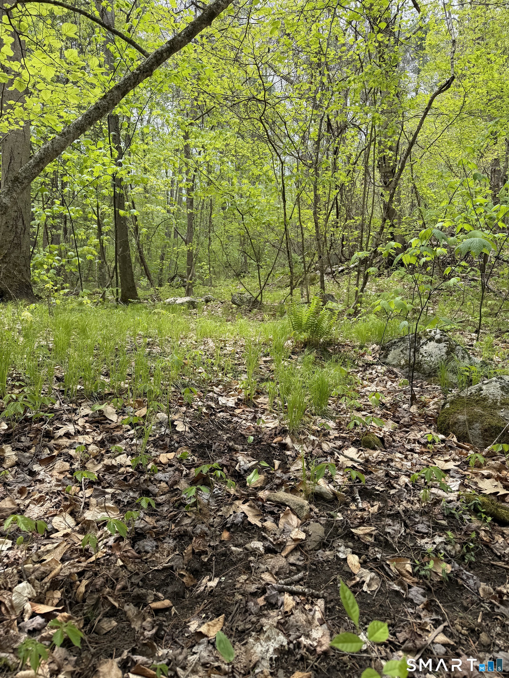 405 Route 7 Sharon CT 06069