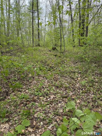 405 Route 7 Sharon CT 06069