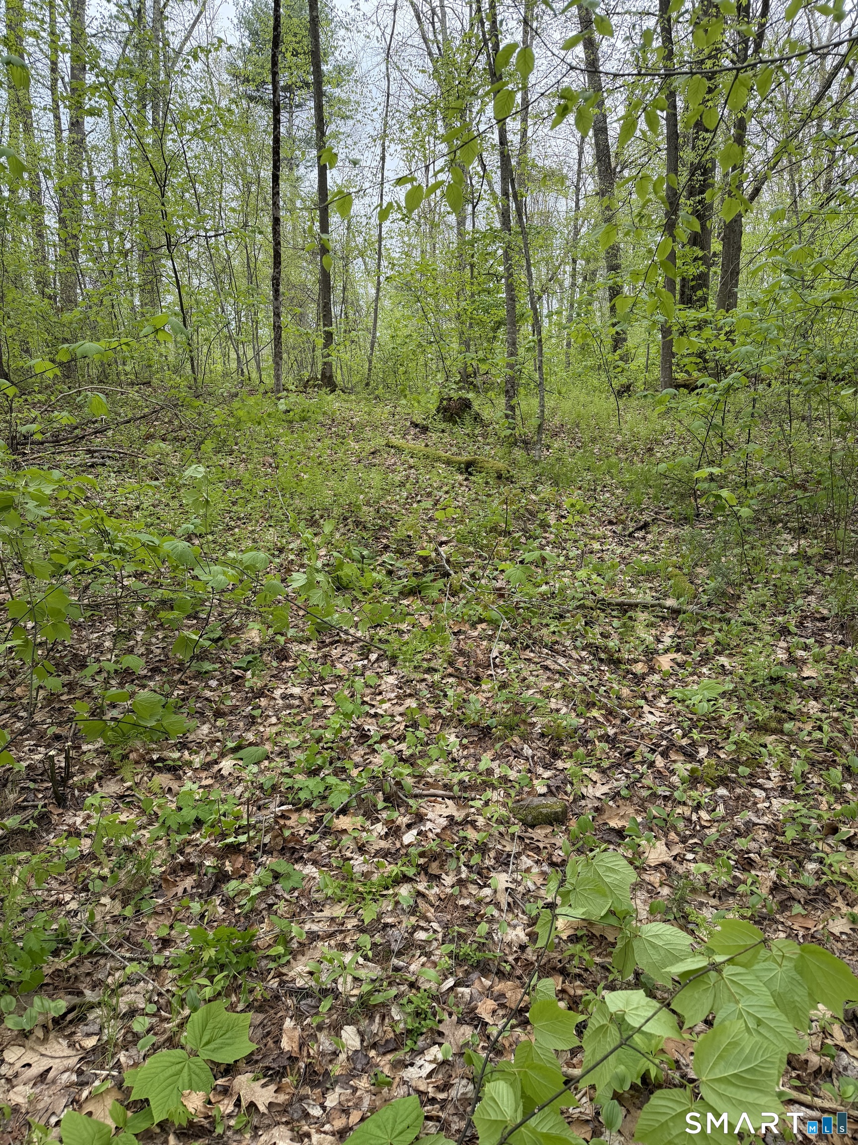 405 Route 7 Sharon CT 06069