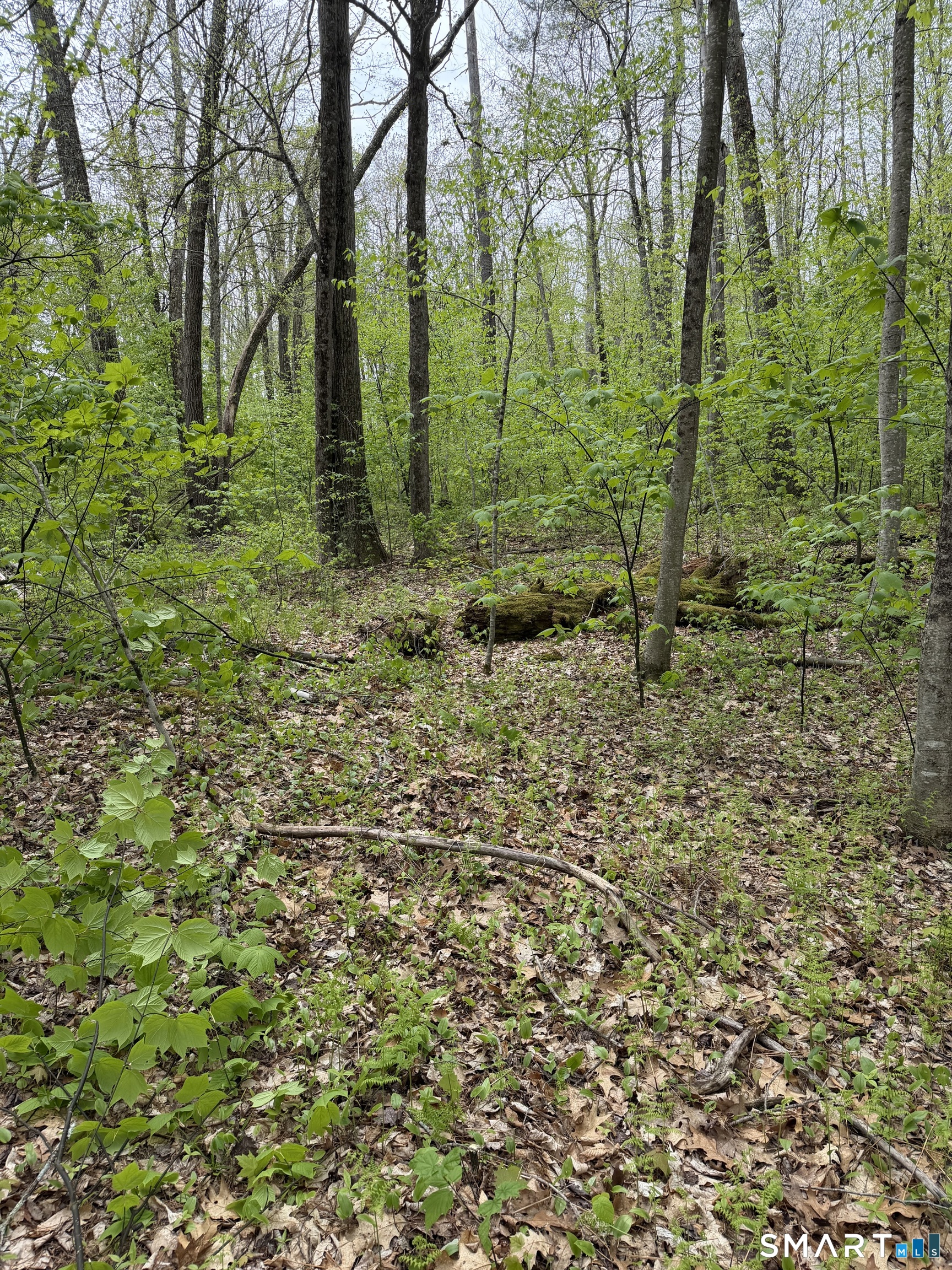 405 Route 7 Sharon CT 06069
