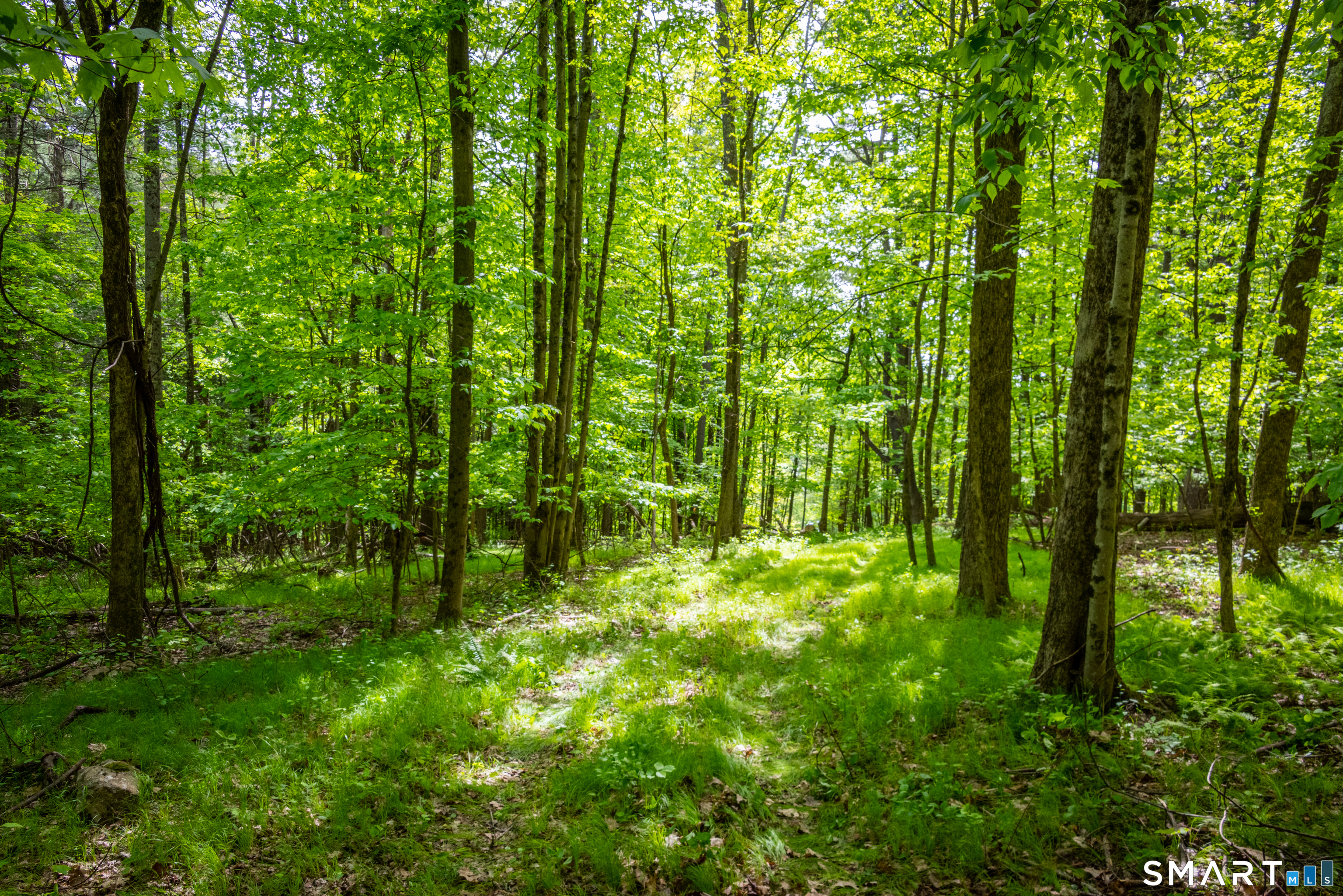 198-1 Beebe Hill Road Canaan CT 06031