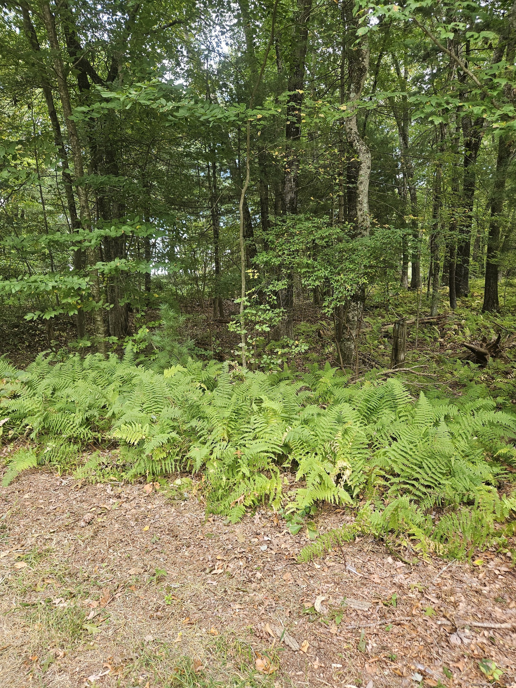 Lot 22 & 23 Camp Moween Road Lebanon CT 06249
