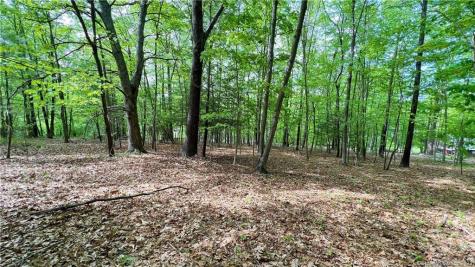 Storrs Road Mansfield CT 06250