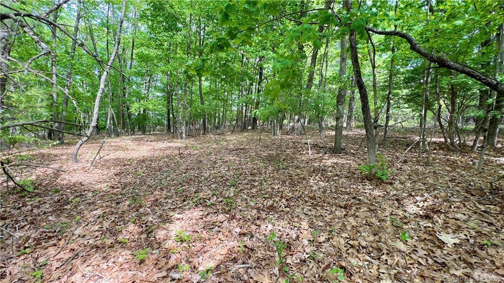 Storrs Road Mansfield CT 06250