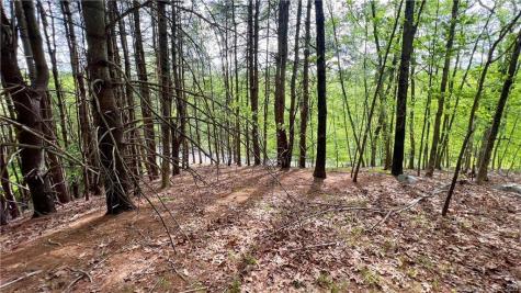 Storrs Road Mansfield CT 06250
