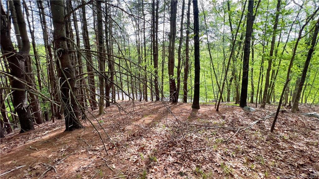 Storrs Road Mansfield CT 06250