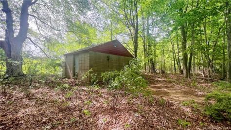 Storrs Road Mansfield CT 06250