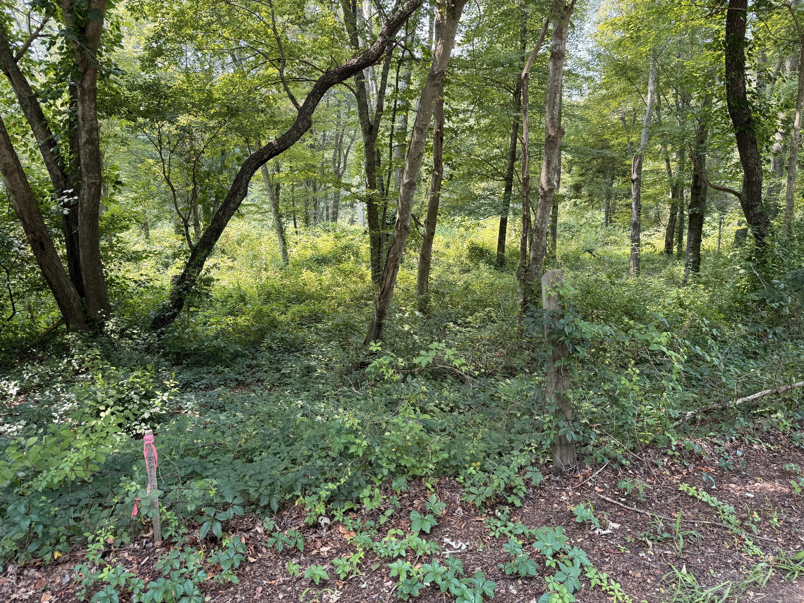 770-1 Pequot Trail Stonington CT 06378