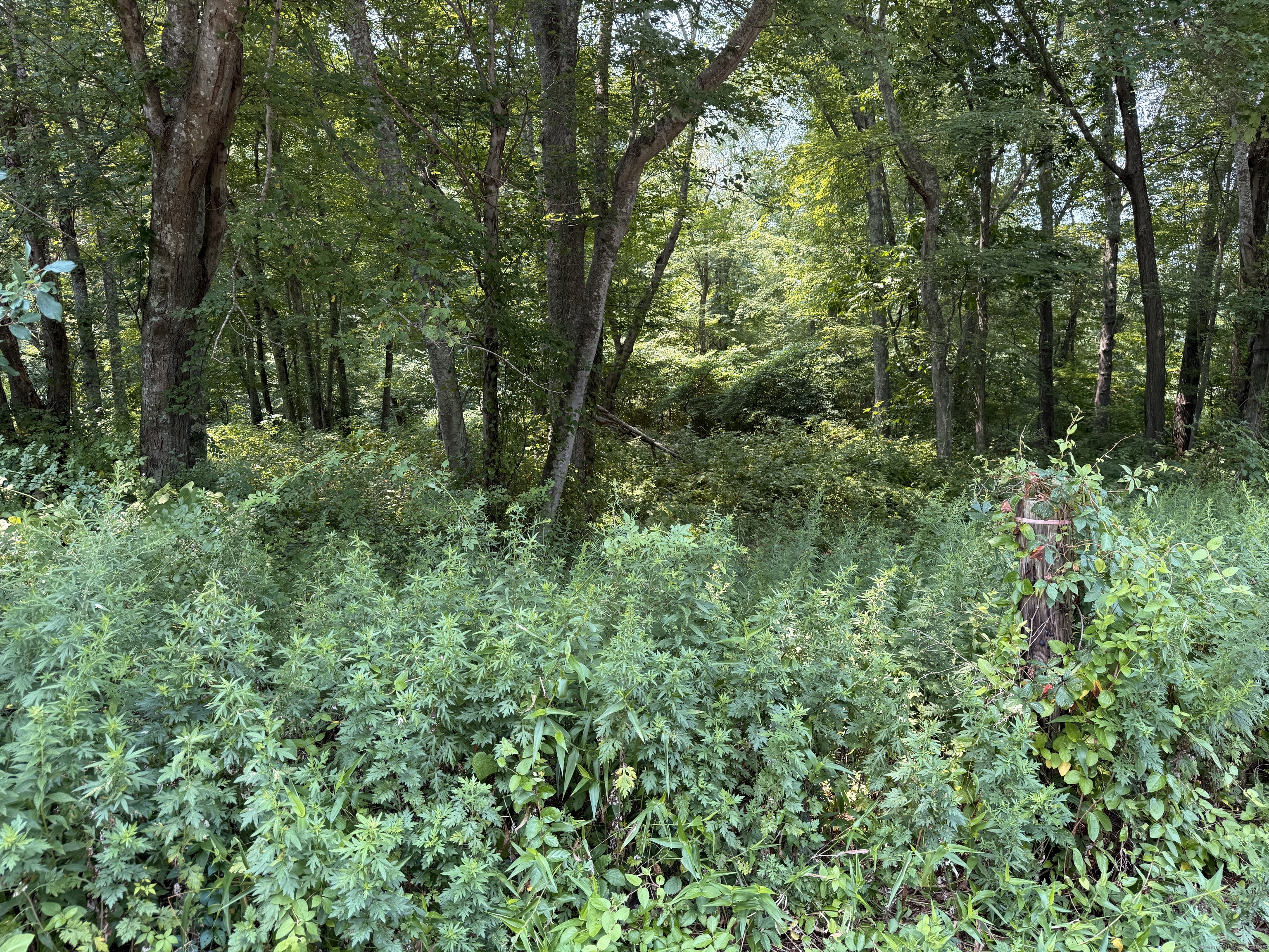 770-1 Pequot Trail Stonington CT 06378