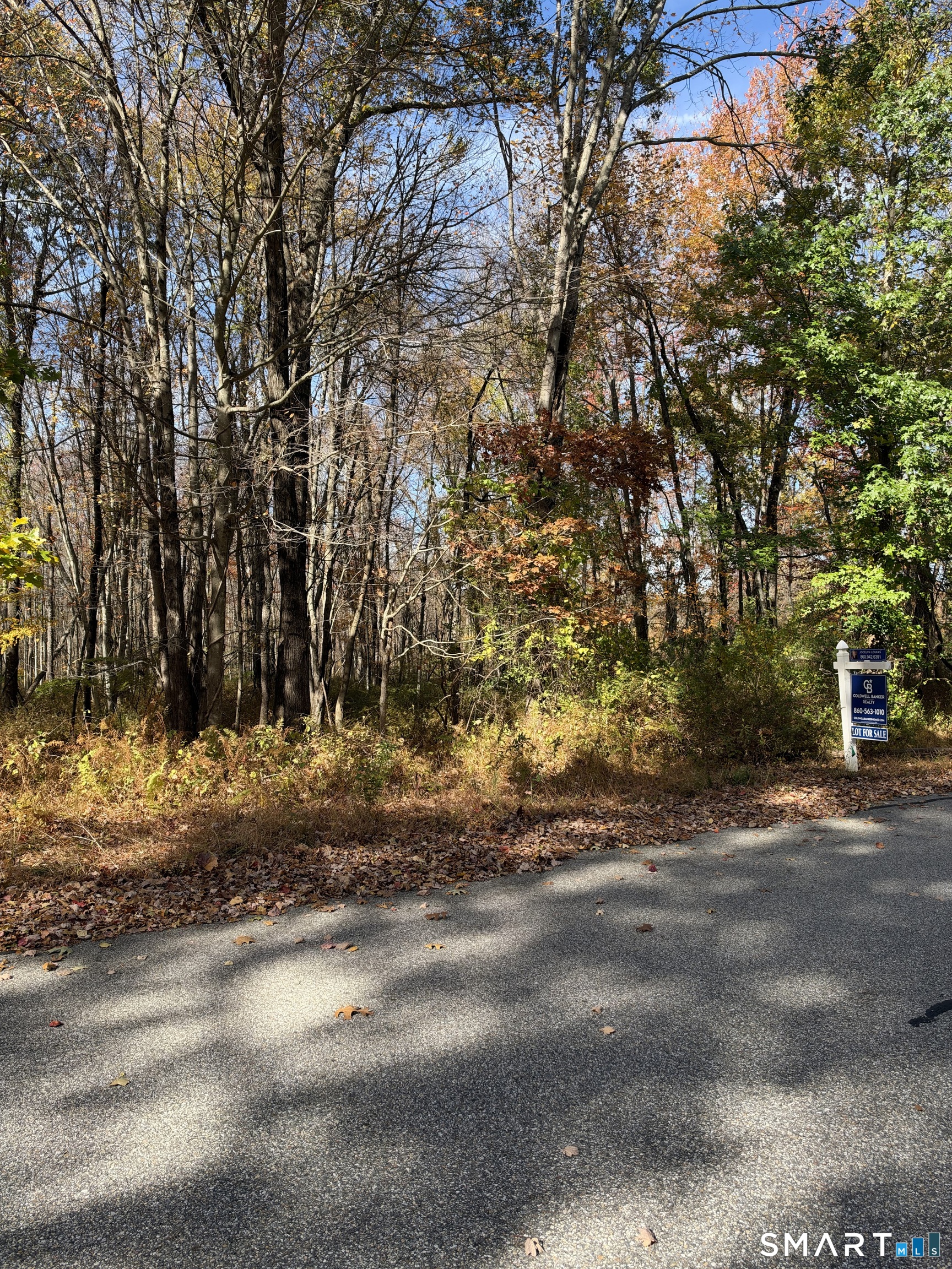 Maxfelix Drive Mansfield CT 06268