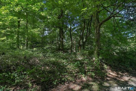 62 Coppermine Road Oxford CT 06478