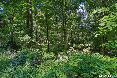 62 Coppermine Road Oxford CT 06478
