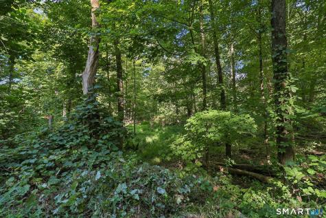 62 Coppermine Road Oxford CT 06478
