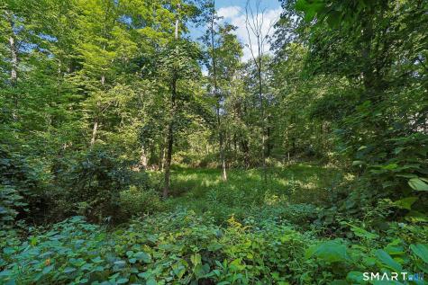 62 Coppermine Road Oxford CT 06478