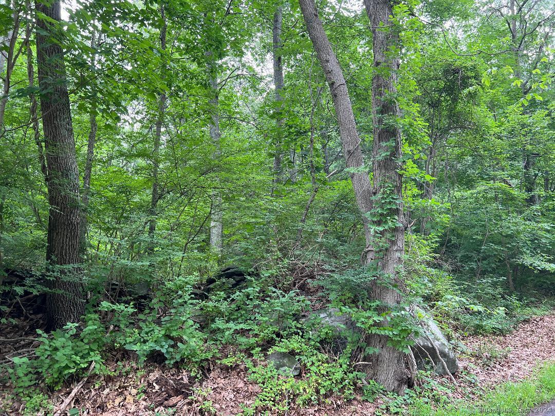 432 Cox Road Portland CT 06480
